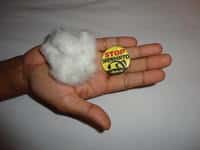 Cotton and Stop Monsanto Button jpg