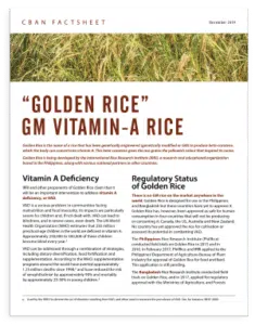 Golden Rice cover art