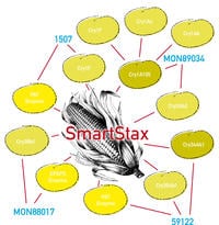 SmartStax Traits