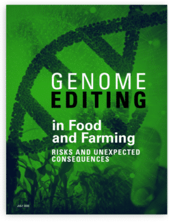 Genome Editing in Food and Farming: Risks and Unexpected Consequences