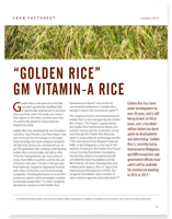 “Golden Rice” Vitamin A Rice